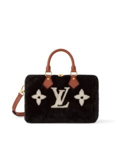 Louis Vuitton Speedy Bandouliere 25 M11797